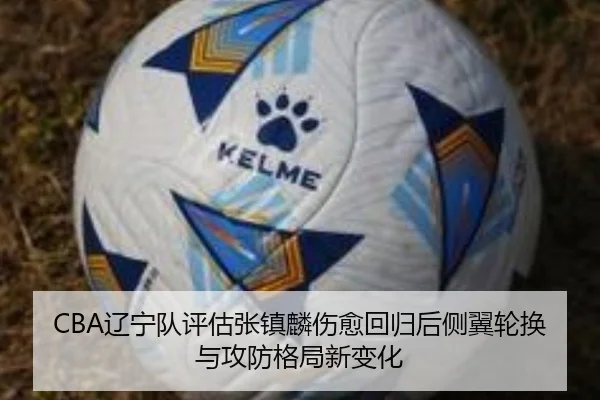 CBA辽宁队评估张镇麟伤愈回归后侧翼轮换与攻防格局新变化